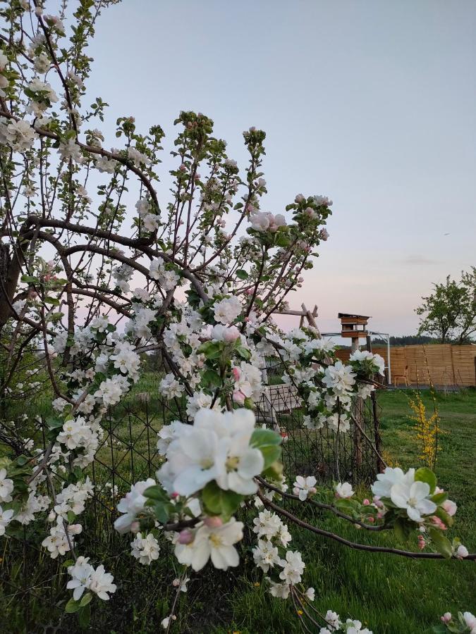 Gosciniec Villa Koden Dış mekan fotoğraf